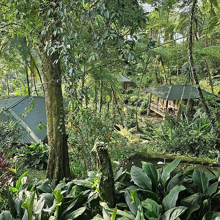 Rimba Eco Resort Tomohon Εξωτερικό φωτογραφία