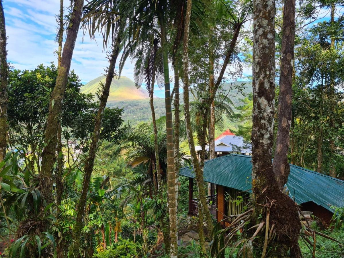 Rimba Eco Resort Tomohon Εξωτερικό φωτογραφία