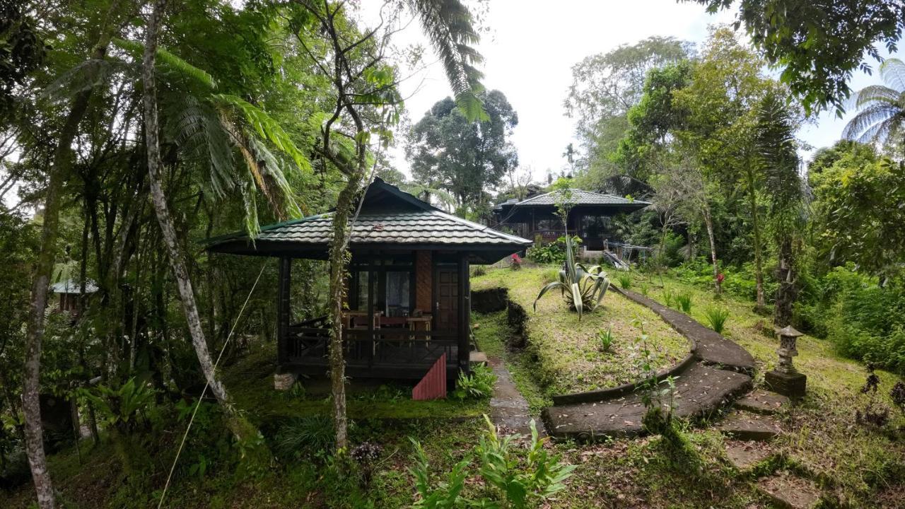 Rimba Eco Resort Tomohon Εξωτερικό φωτογραφία