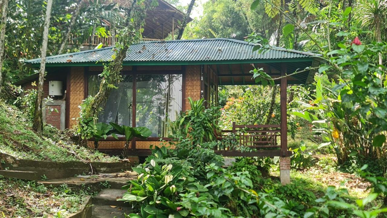Rimba Eco Resort Tomohon Εξωτερικό φωτογραφία