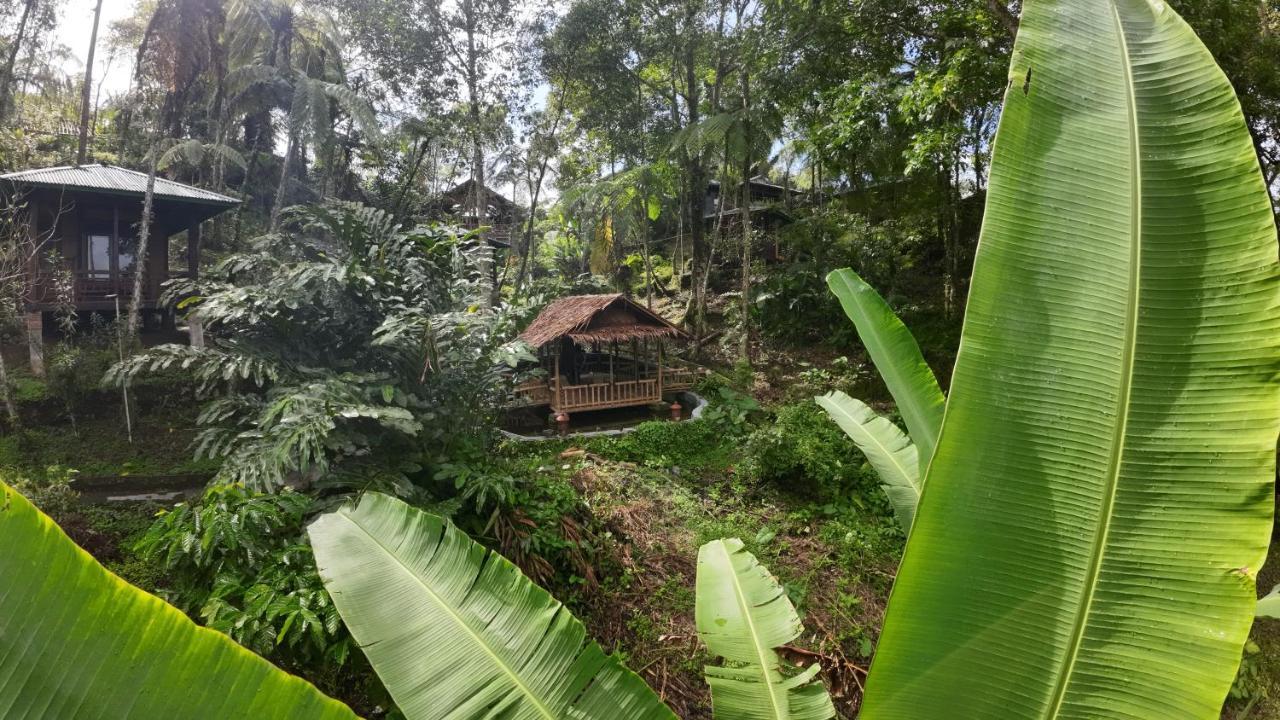 Rimba Eco Resort Tomohon Εξωτερικό φωτογραφία