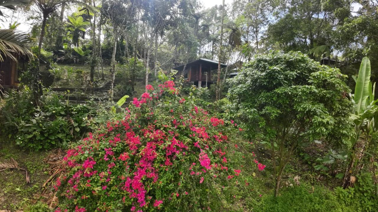 Rimba Eco Resort Tomohon Εξωτερικό φωτογραφία