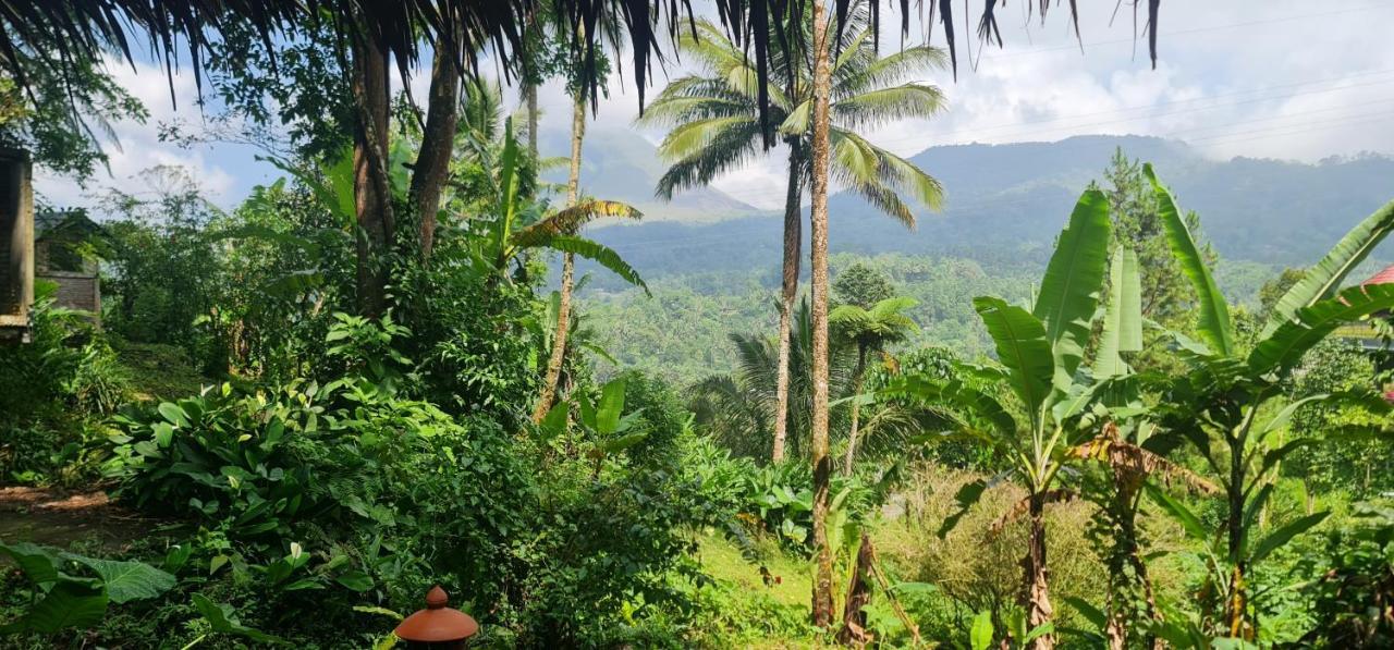 Rimba Eco Resort Tomohon Εξωτερικό φωτογραφία