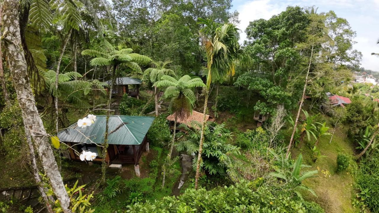 Rimba Eco Resort Tomohon Εξωτερικό φωτογραφία