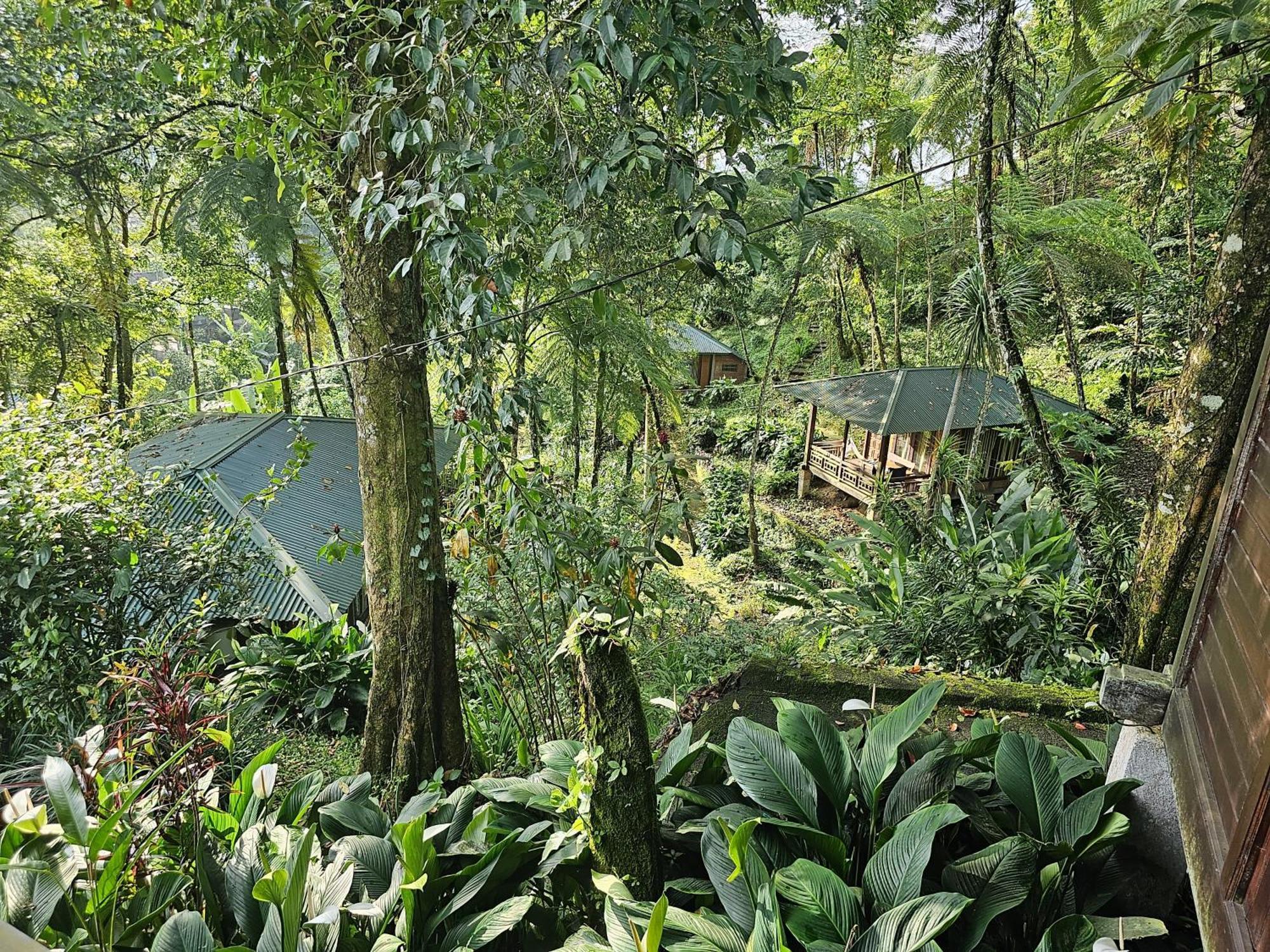 Rimba Eco Resort Tomohon Εξωτερικό φωτογραφία